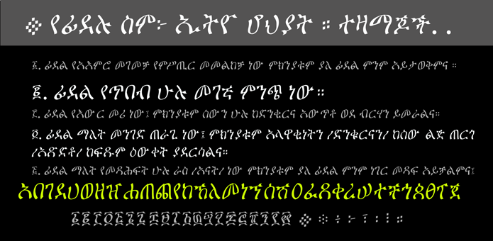 Ethio Hoheyat Family.